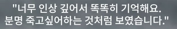인간외에 자살을 선택하는 동물이 있을까? | 인스티즈