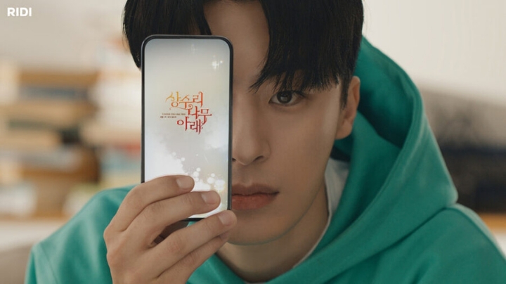 요즘 웹소설(카카오페이지, 네이버시리즈, 리디)에서 자주 보이는 광고 | 인스티즈