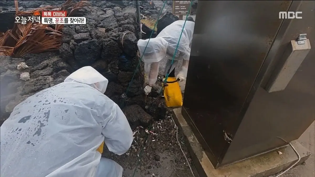 제주도에 있는 현무암 재떨이.jpg | 인스티즈