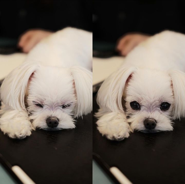 0edb0788cff2f4cd0a18d1e823910fd2d565b768