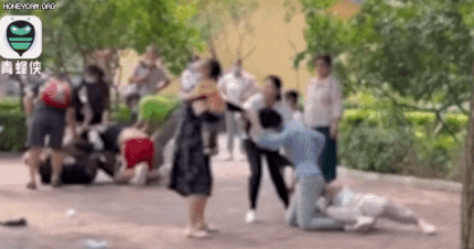 동물원에서 가족끼리 패싸움.gif | 인스티즈