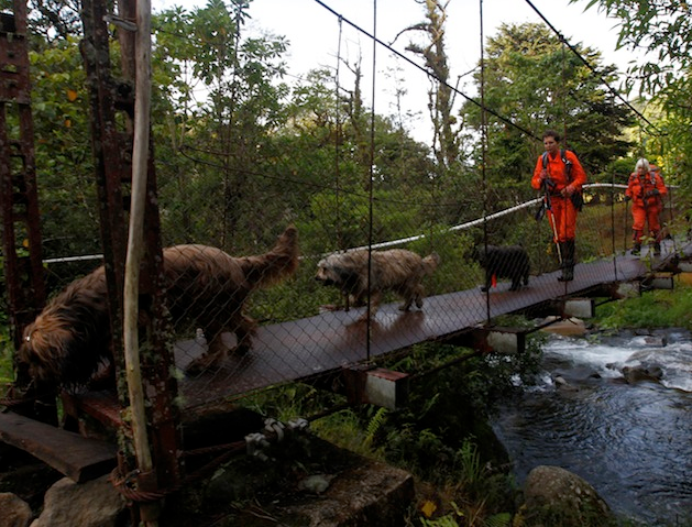 프론 크레머르스 실종사건 | 인스티즈