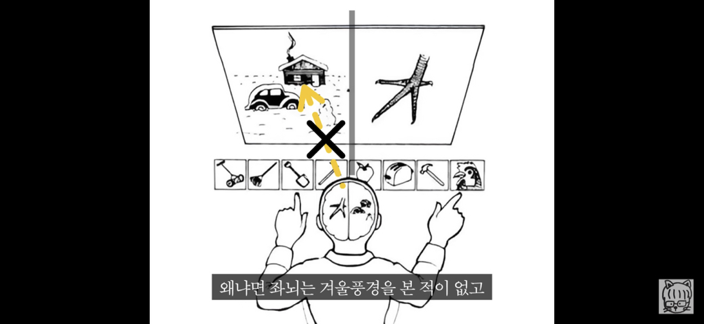 (스압)분리 뇌 실험 | 인스티즈