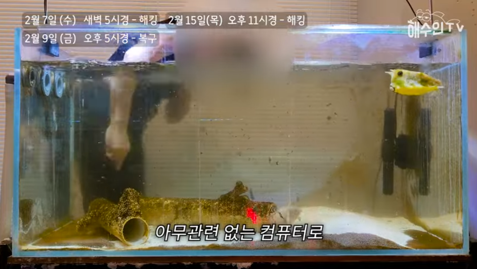 유튜브 계정이 3번이나 해킹 당한 이유 | 인스티즈