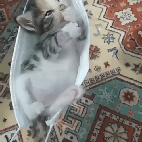 꿀잠 자는 아이들 | 인스티즈