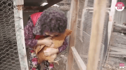 ???"집에 가자~ 아이고 예쁘다~".gif | 인스티즈