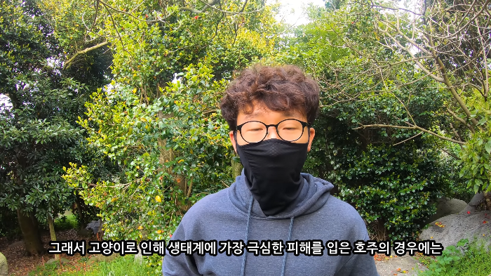 [사진100장스압] 고양이가 자연생태계에 끼치는 심각한 영향 | 인스티즈