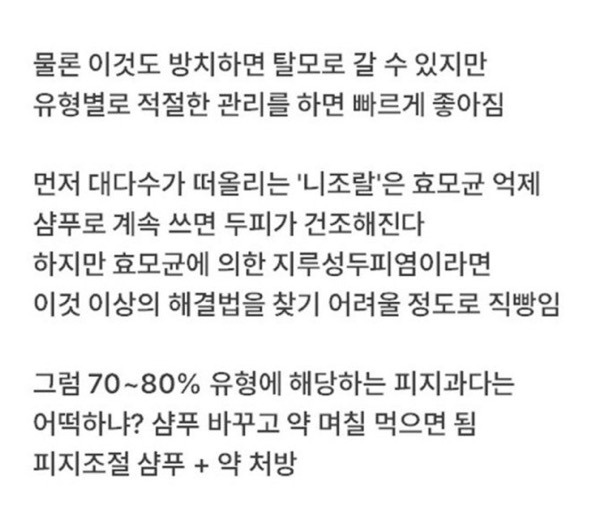 탈모라고 오해하는 질환 1위 | 인스티즈