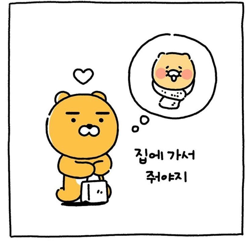 키우는 고양이가 보이지 않는다 ㅠㅠㅠㅠㅠ | 인스티즈