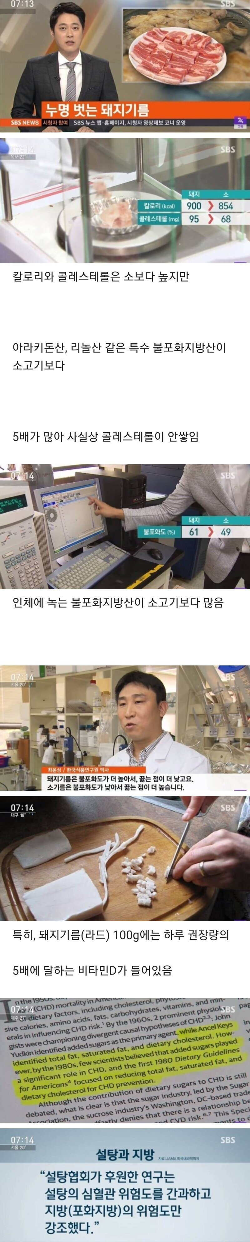 드디어 누명에서 벗어난 돼지고기.jpg | 인스티즈