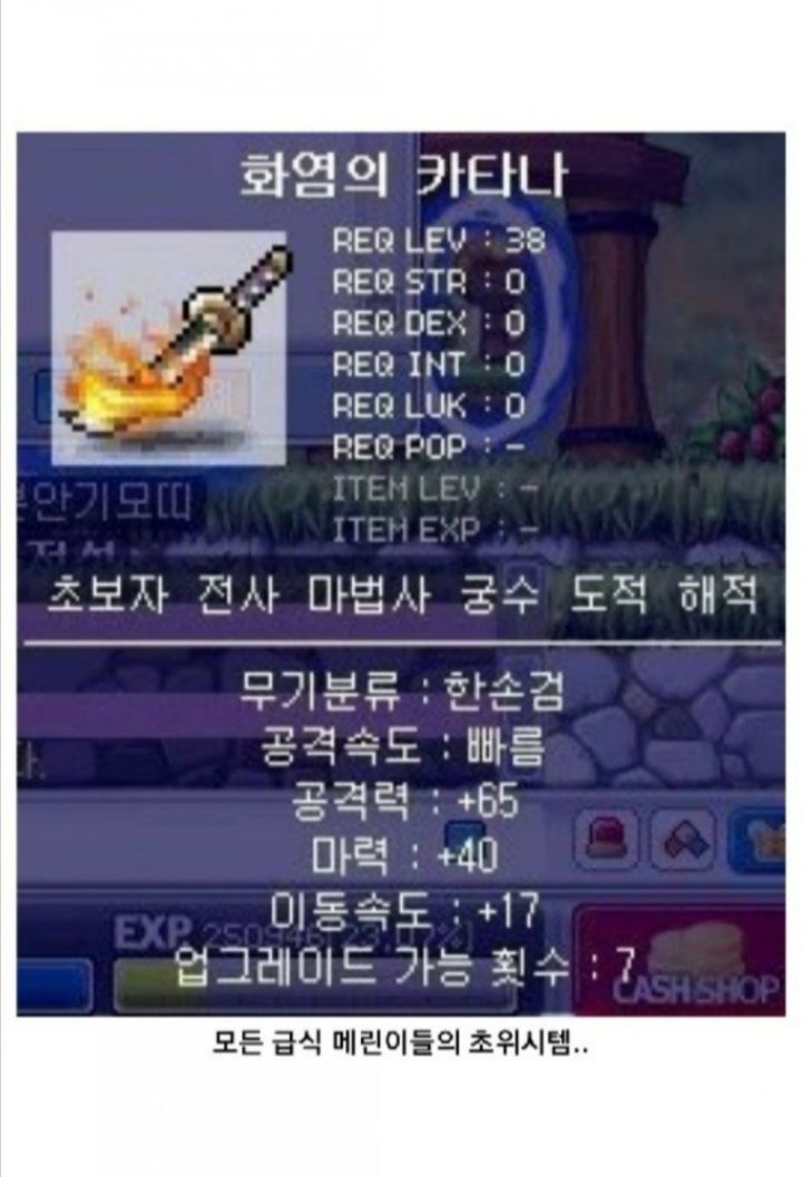 모두가 그리워하는 추억의 그 시절 옛날 메이플스토리 | 인스티즈