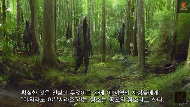 미스테리한 일본의 출입금지된 도심 한복판의 숲 | 인스티즈