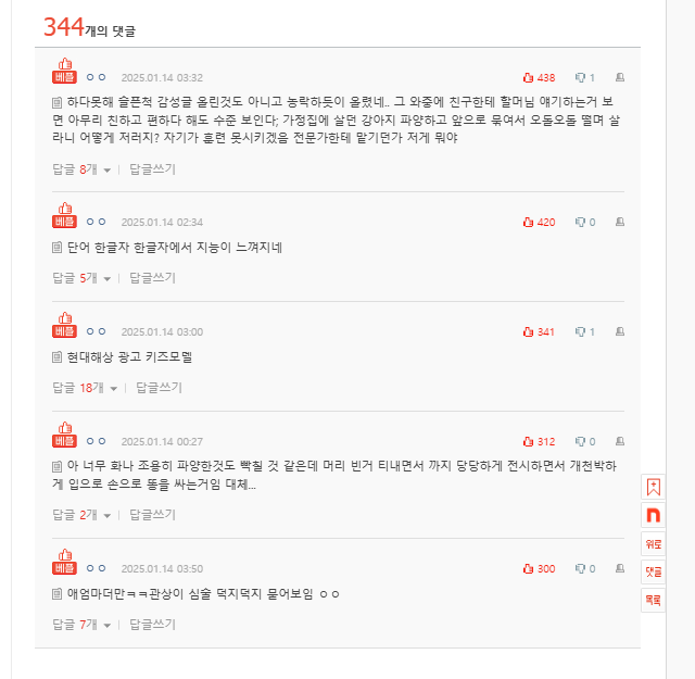 실시간랭킹)시바견 파양 sns 전시한 인플루언서 | 인스티즈