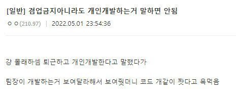 게임 개발자가 개인 개발 게임 들키면 안되는 이유.jpg | 인스티즈
