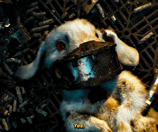 (ㅅㅍ) 가오갤3 눈물버튼의 시작.gif | 인스티즈
