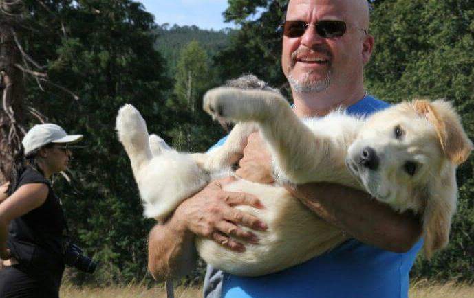 골든리트리버 축제 | 인스티즈