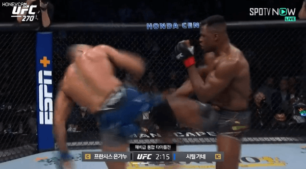 11380970aa402fe2263fb45b6d9a2035b522e441