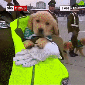 치명적인 인절미 군대 | 인스티즈