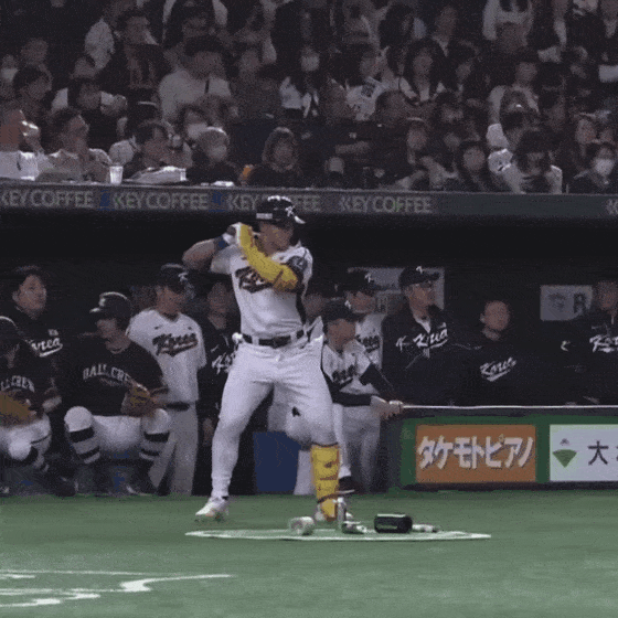 일본으로 잠시 건너간 수원 고릴라 | 인스티즈