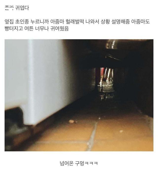옆집 새끼강아지 베란다로 넘어옴 ㅋㅋ | 인스티즈
