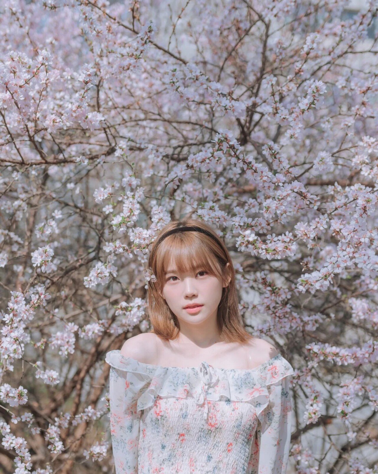 벚꽃구경 우정잉 | 인스티즈