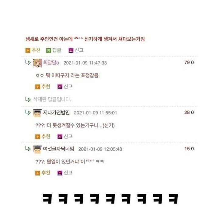 주인이 신기했던 강아지.jpg | 인스티즈