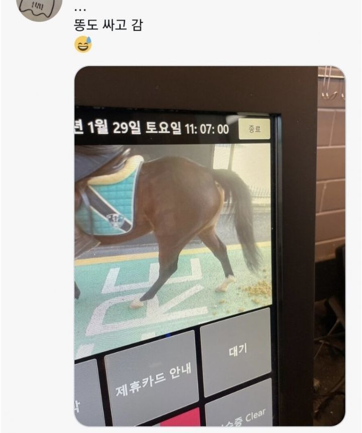 드라이브 스루에 말 왔음.jpg | 인스티즈