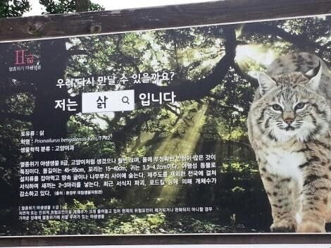 우리가 아는 그 칡 짤의 진짜 근황.jpg | 인스티즈