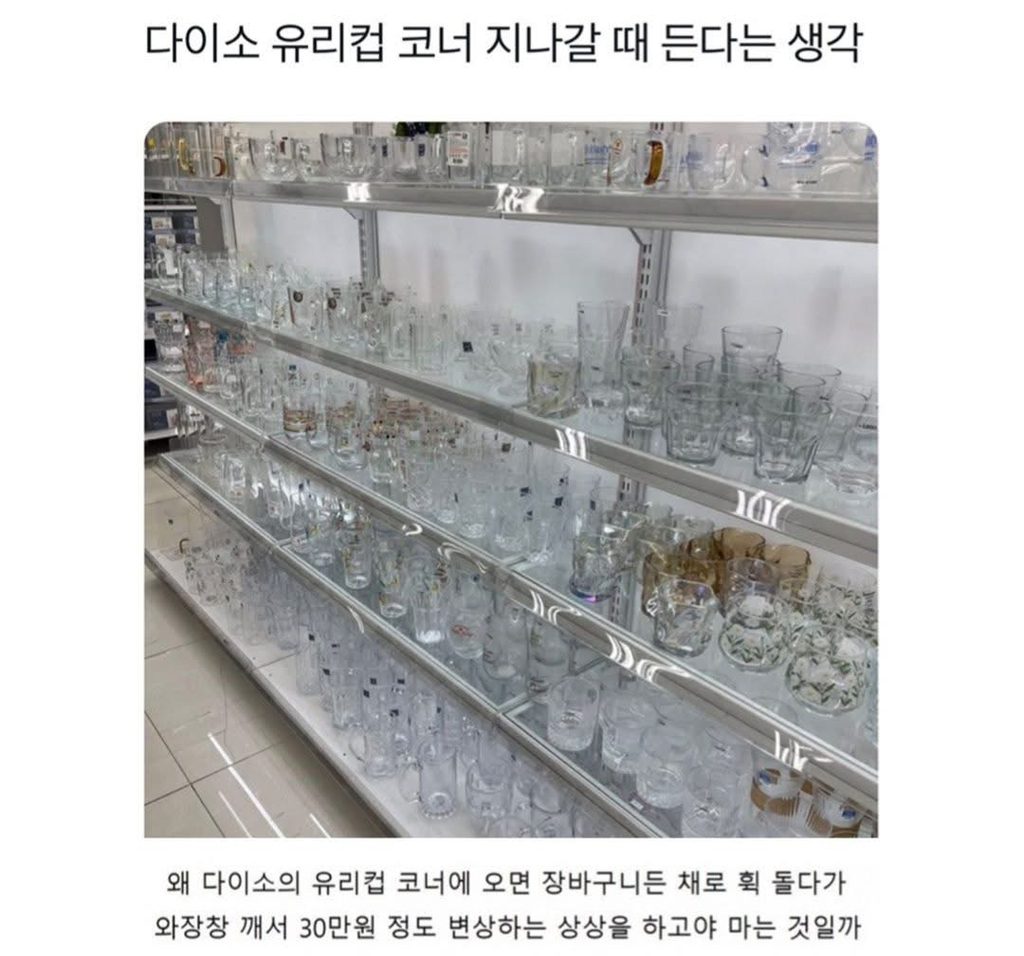 다이소 유리컵 코너 특징 | 인스티즈