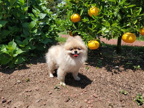 보고싶은 우리 맥주 | 인스티즈