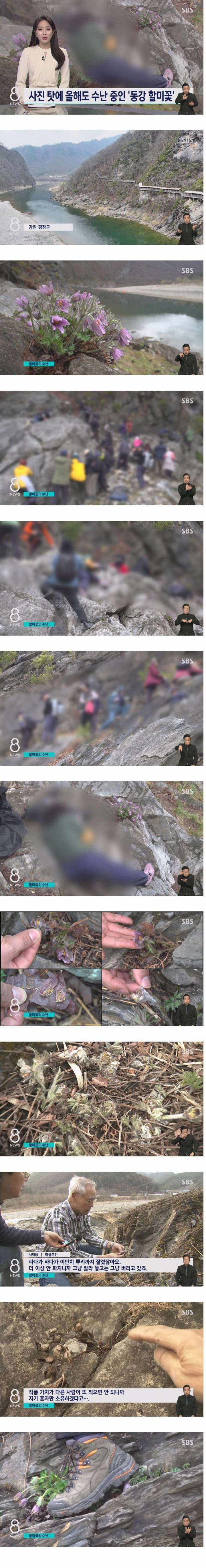 일부 사진가.jpg | 인스티즈