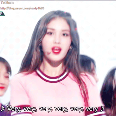 본인이 아이오아이에서 제일 좋아한 최애 멤버는? | 인스티즈