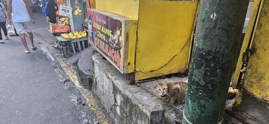 악명높은 필리핀 마닐라에서의 1주일 후기 | 인스티즈