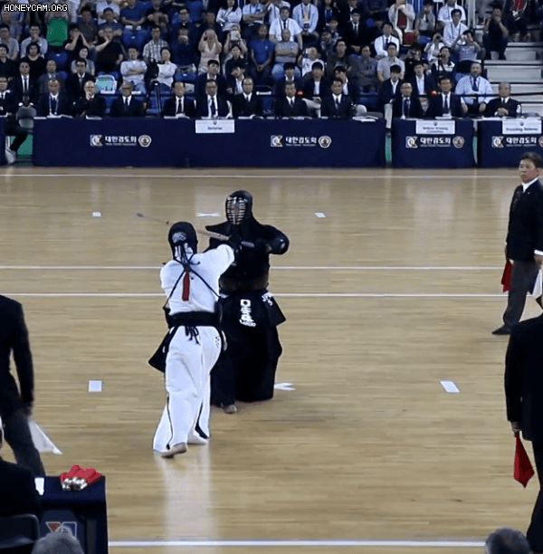 검도 세계 선수권 대회 우승자(+ 목검, 찌르기o) vs 케인 벨라스케즈 | 인스티즈