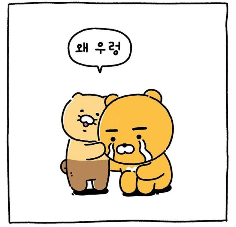 키우는 고양이가 보이지 않는다 ㅠㅠㅠㅠㅠ | 인스티즈