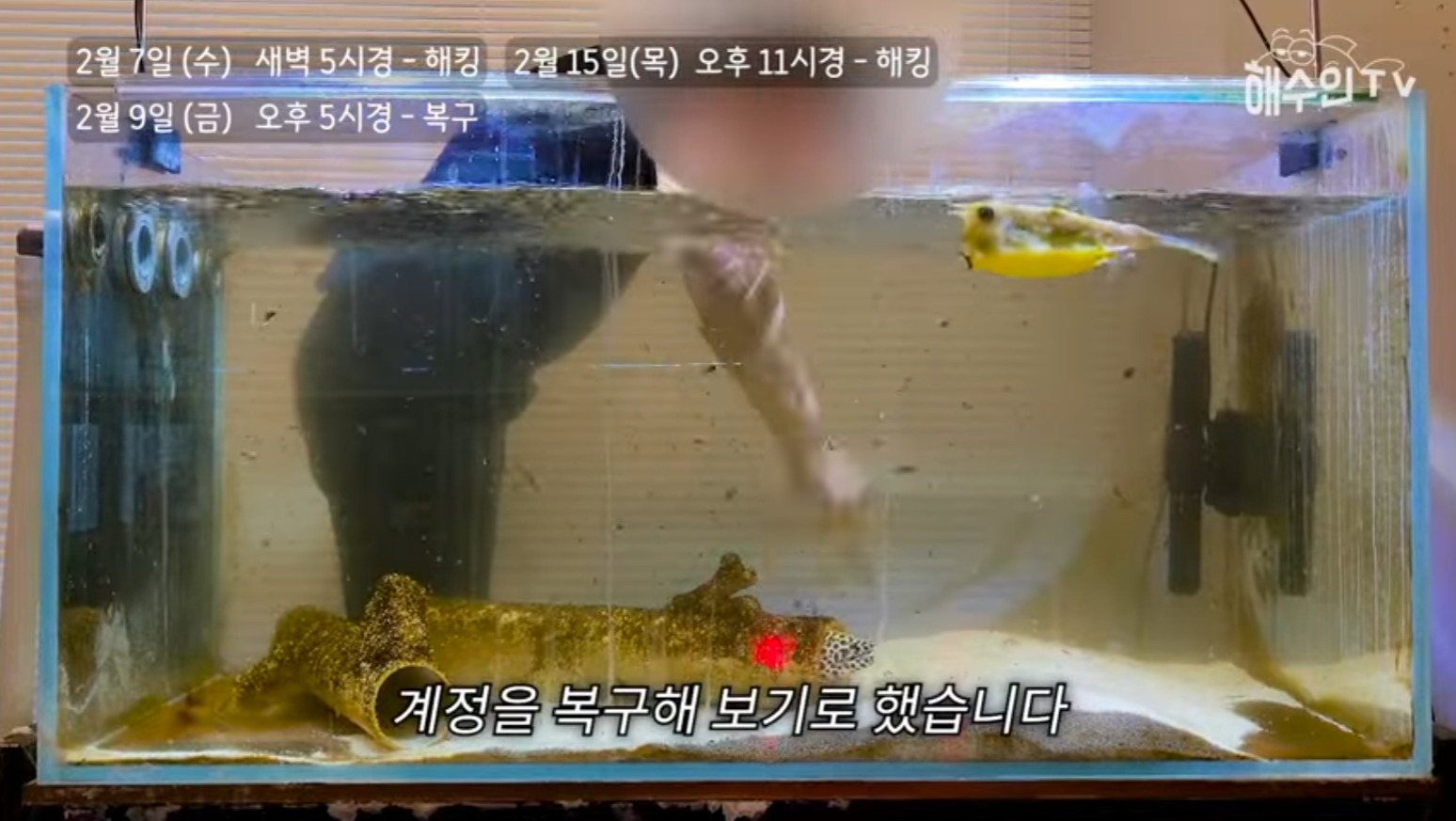 유튜브 계정이 3번이나 해킹 당한 이유 | 인스티즈