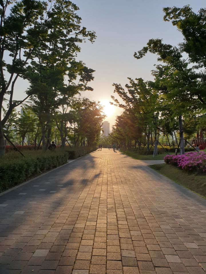 그러니 그대 사라지지말아라 | 인스티즈