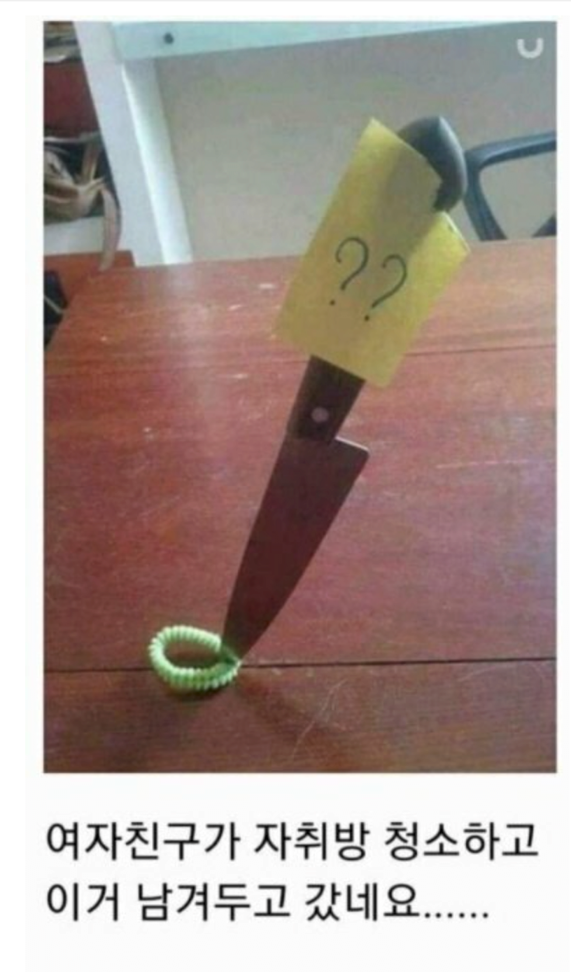 여자친구가 자취방 청소해주고간 후기 | 인스티즈