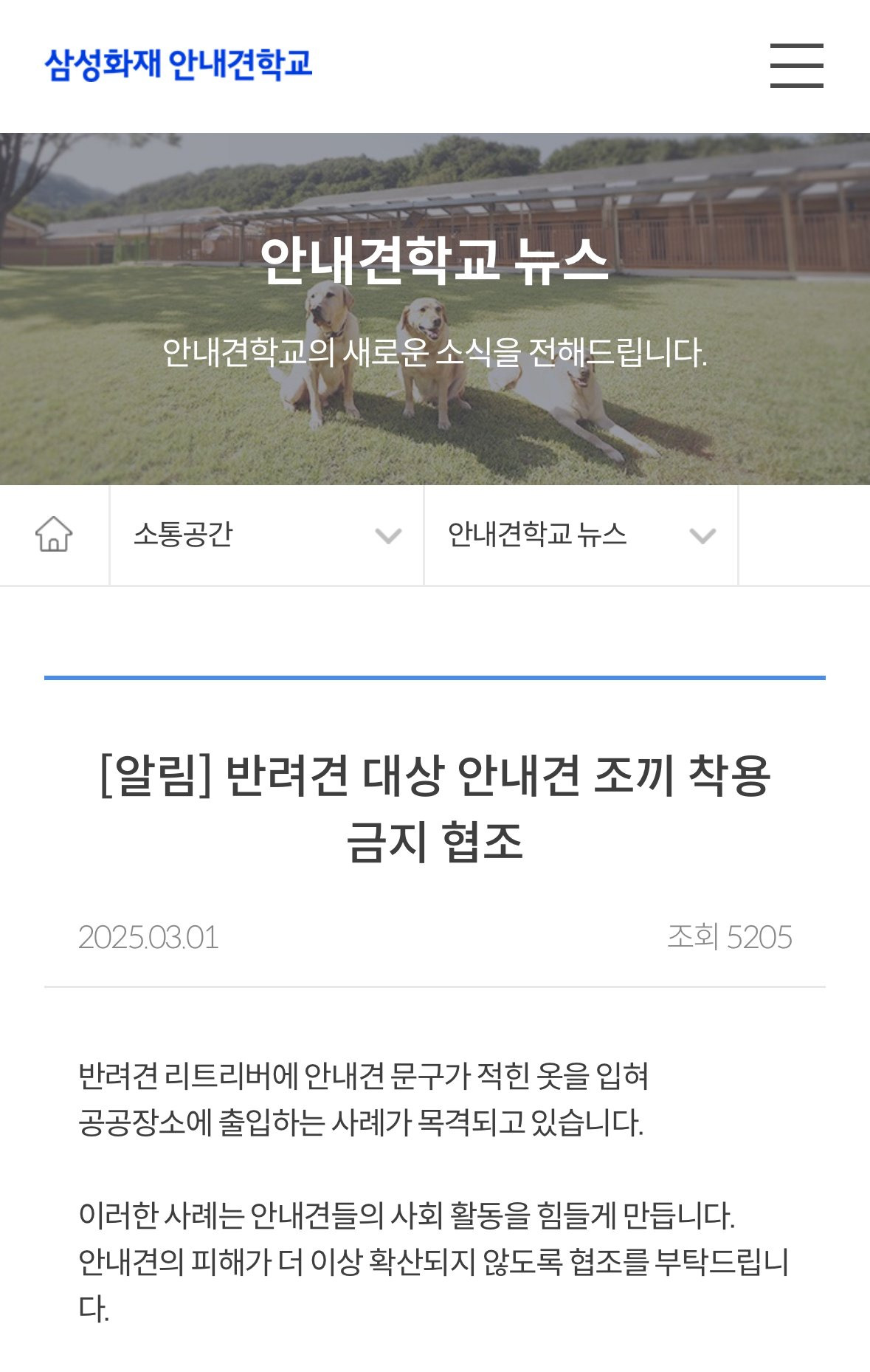 삼성화재 안내견 학교 근황 | 인스티즈
