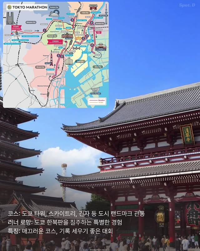 세계 7대 마라톤 | 인스티즈