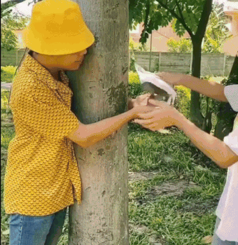 중국 감성 참교육하는 남자ㄷㄷㄷㄷ.gif | 인스티즈