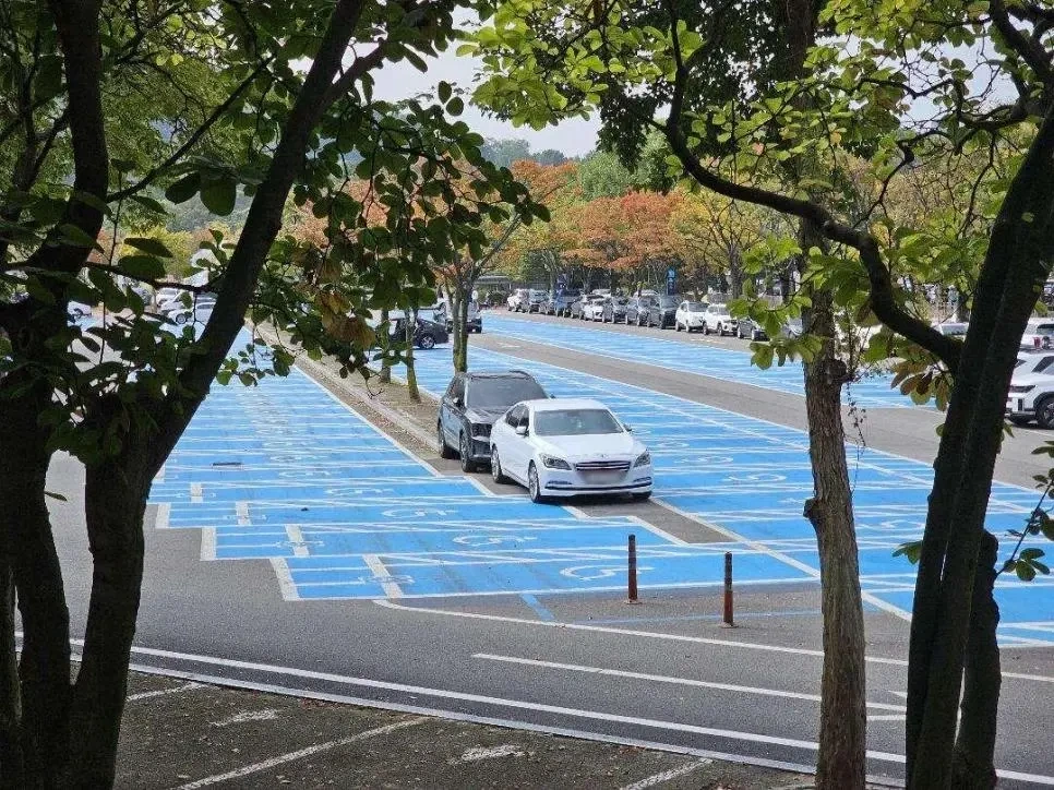 무개념 주차가 많은 서울대공원 주차장 | 인스티즈