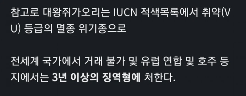 ???: 아니 범고래가 줬다니까요 정말입니다 | 인스티즈