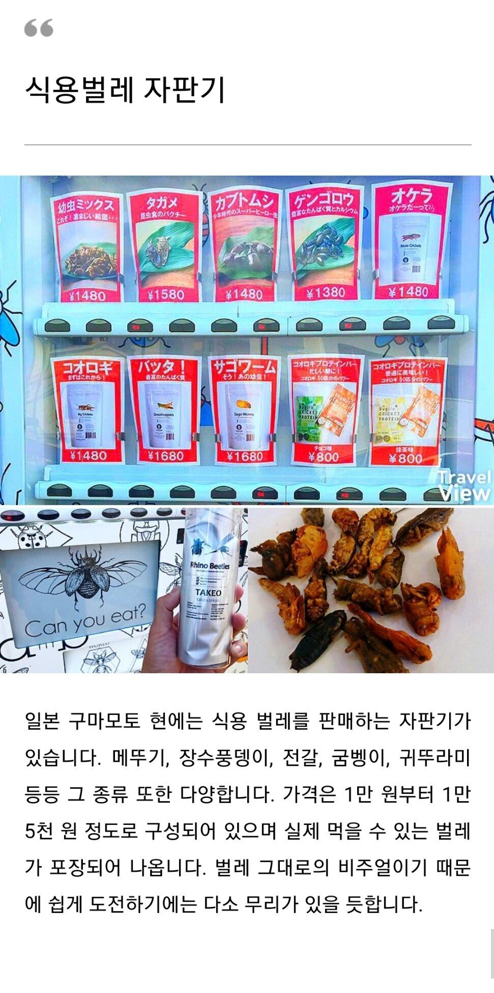 특이한 자판기들ㄷㄷ.jpg | 인스티즈