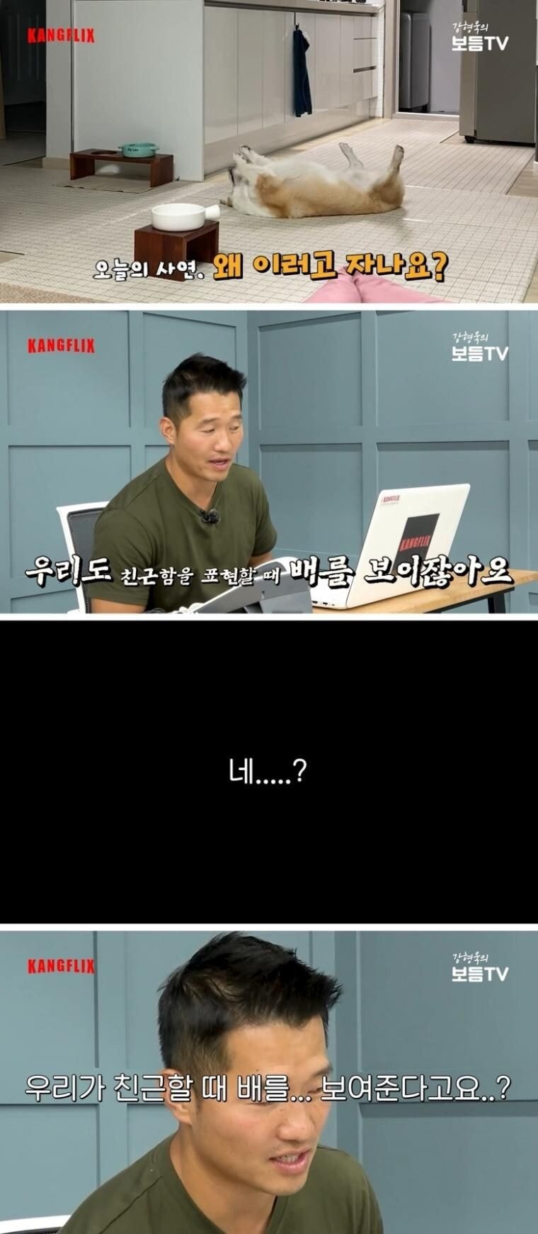 강형욱 논란... | 인스티즈