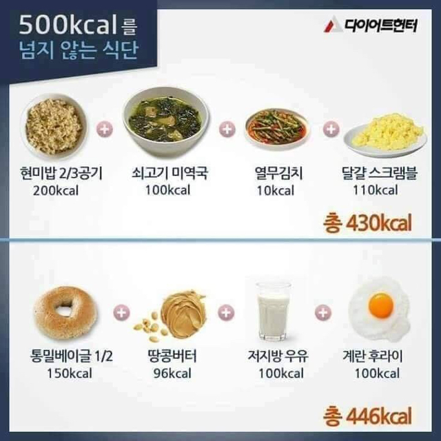 500칼로리를 넘지 않는다는 식단 | 인스티즈