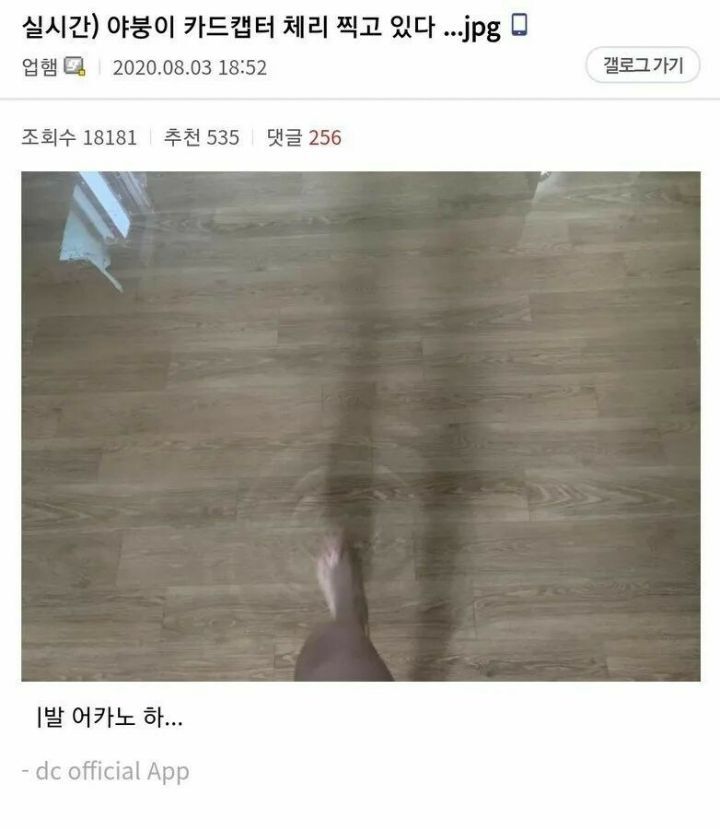 야붕이 실시간 x된 모음집 | 인스티즈