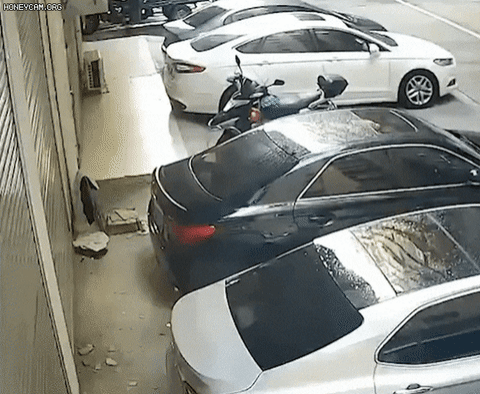 발코니에서 섹스하다 떨어진 여자.gif | 인스티즈