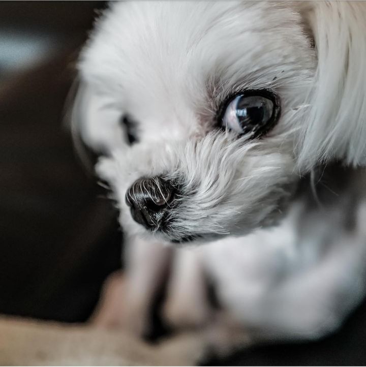 147ad19017a65649f1136711ea920597d02d5cf5