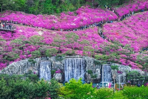 경기도 군포시하면 떠오르는 것은? | 인스티즈